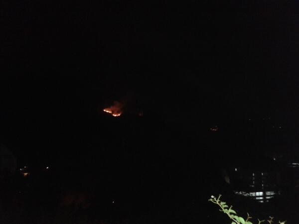 Carolina Afan de R. tweet media