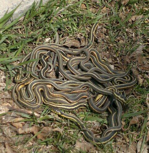 DarkSkin_Probs's tweet photo. Niggas be like...#SQUADDDD http://t.co/ELb9JZZxc6