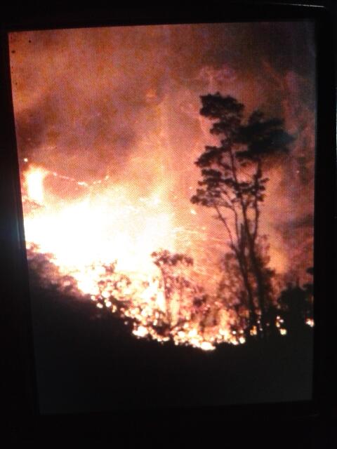 Carolina Afan de R. tweet media