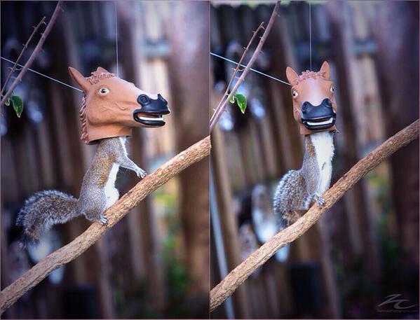 bassthugs's tweet image. @BeatWhen When The Beat Drops So Hard Squirrels Have Horse Heads @RolexOnMyDick You Are Now Intune