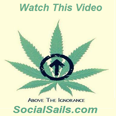 IsomAdvanced's tweet image. Social Sails is a hemp lifestyle company with a focus on nutritional wellness whose pr... manta.com/t/abpnMgL