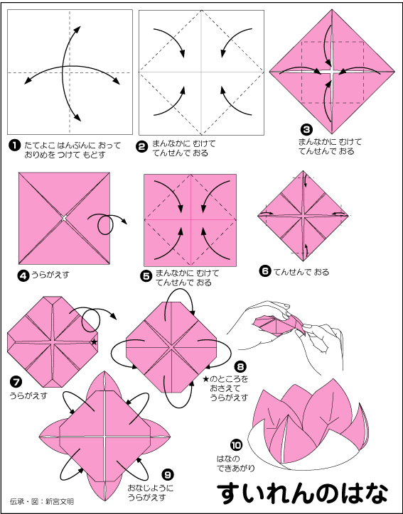 折り紙を折ろう در توییتر 折り紙の折り方 すいれんのはな T Co Xz6docv95p