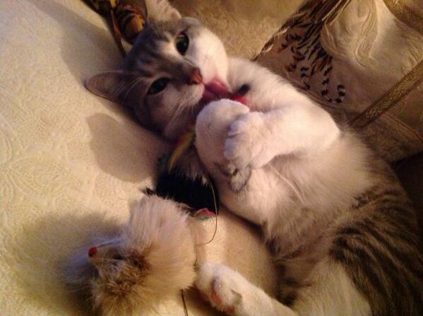 isabellejs1's tweet image. 