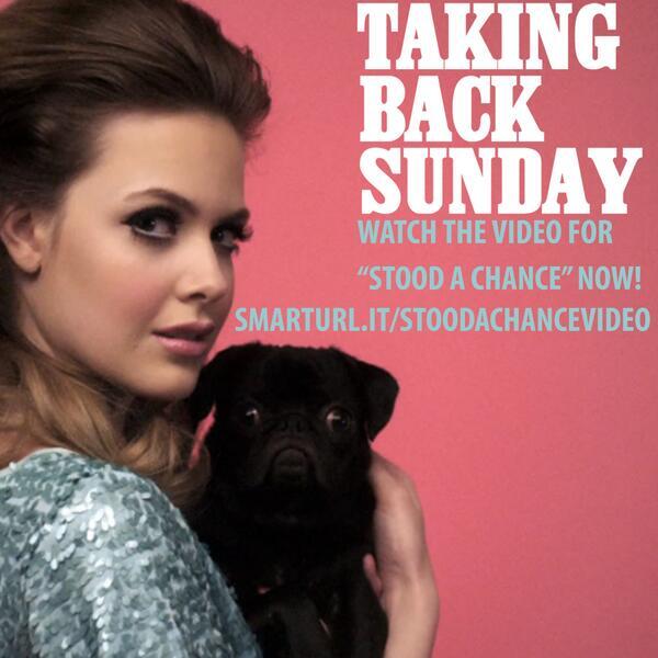 HopelessAsia's tweet photo. All you need to know about the new @TBSOfficial video for #StoodAChance: PUGS!

Now go watch! http://t.co/YtvRkEjGAc http://t.co/XRcSlG9MOF