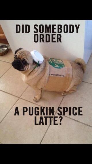 pjdjlex46's tweet photo. @emilyplanas do you get many of these orders? http://t.co/7gjo6ifhBO
