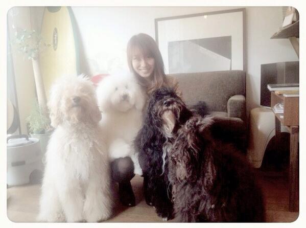 AzusaRP's tweet photo. Love Sao Paulo!!!
R.I.P

Say hi to Rally:)) http://t.co/Qg9sTTXcTS