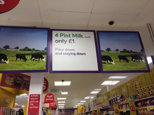 Where do we get our milk from? Not these cows! MT "<a href="/doitinwellies/">Doitinwellies</a>: in <a href="/Tesco/">Tesco</a> store today. 2 Herefords + an Angus "