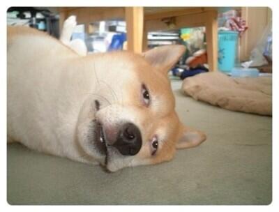 supervector11's tweet image. 힘내긔