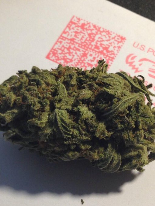 I love the kush!!! http://t.co/ArAN2NMCbl<a href="/tag/chicago"class="tags"><span>#chicago</span></a><a href="/tag/follobackforfolloback"class="tags"><span>#follobackforfolloback</span></a><a href="/tag/follobackinstantly"class="tags"><span>#follobackinstantly</span></a>