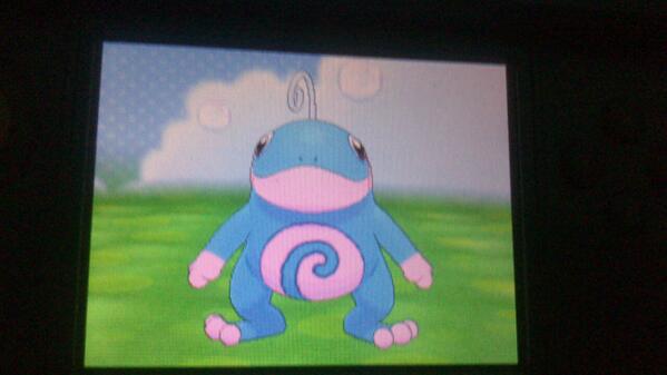unpuerropati's tweet photo. sorteo este polited shiny con llovizna y full iv RT y FOLLOW http://t.co/3iVp5Yyjqy