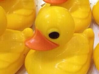 Would one of these get more votes than a St Helier Deputy?