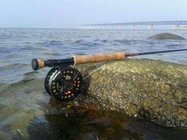 johanfredrik15's tweet photo. Silverjakt http://t.co/QZcViMEotM