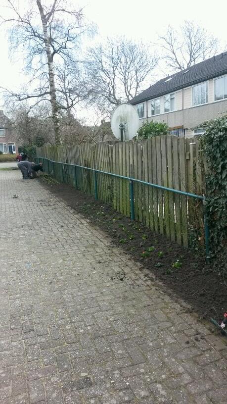 Lentekriebels bij dynamiek