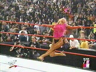 WWEHotDivasPic's tweet photo. hot diva @WWEHotDivasPic http://t.co/EbDsjZgYFN