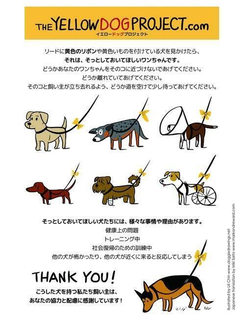 uniquenesslabo's tweet photo. 初めて知りました。犬の黄色いリボンの意味。 https://t.co/0fQ7OyUXdF