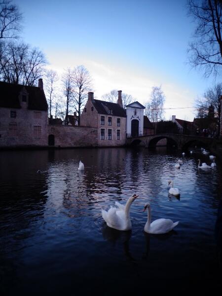 wheninrometrav's tweet photo. Ever heard of Brugge? The cutest village in Belgium! #UNESCO #Belgium #Brugge #IESEGsmm http://t.co/PRRljQUxXx