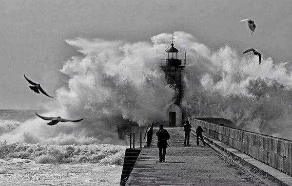 Gabriele_Corno's tweet photo. "Fly In The Sorm", Lighthouse in Lisboa, Portugal #inspirational  #wisdom http://t.co/uVXfKAHUHc