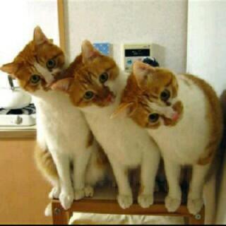 RamdhaniAlQodry's tweet photo. Lucu yaaAa http://t.co/5QeSxJdHMq