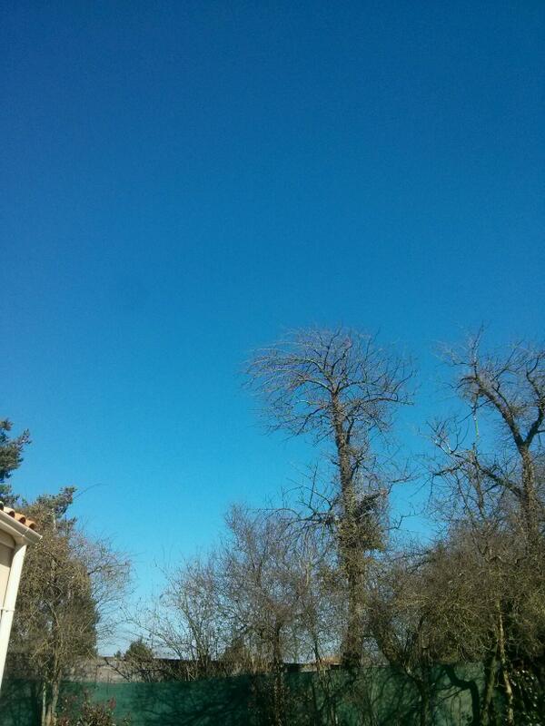 𝔻𝕦𝕞𝕓#𝔹𝔸ℕ𝔾 tweet media