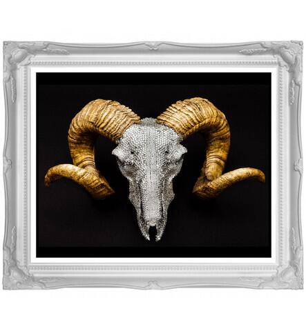 MAISON PRIVÉE tweet media