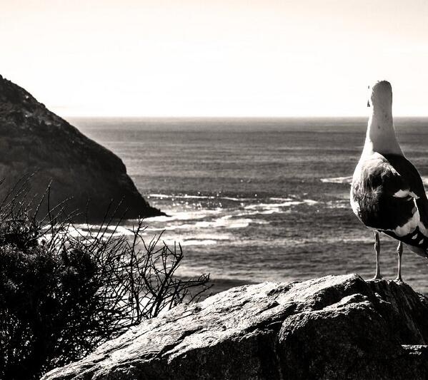 dhirghambasrah's tweet image. 