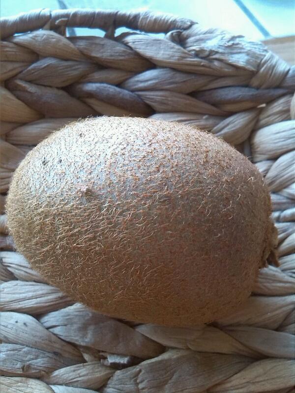 DjShiny's tweet photo. Kilian die Kiwi http://t.co/i6KNNfH90Z