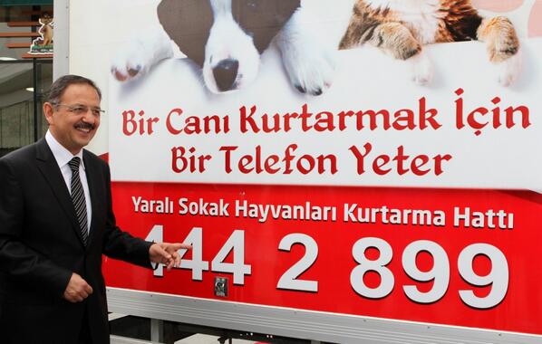 evsiz_hayvanlar's tweet photo. “@mehmetozhaseki: Artık Kayseri'de yaralı bir sokak hayvanı kurtarmak için 444 2 899 numaralı hattı aramanız yeterli http://t.co/5U3zwk1yDB”