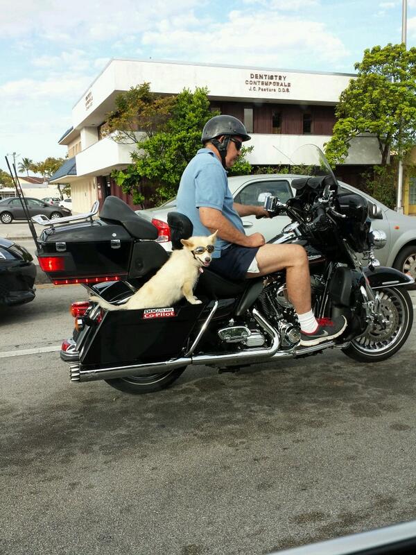 Easy Rider circa 2014