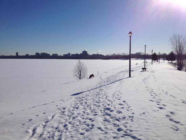 KentOsgoode's tweet photo. Two good little hounds had a long fresh walk this morning on the Ottawa river http://t.co/H7zz5M1UEh