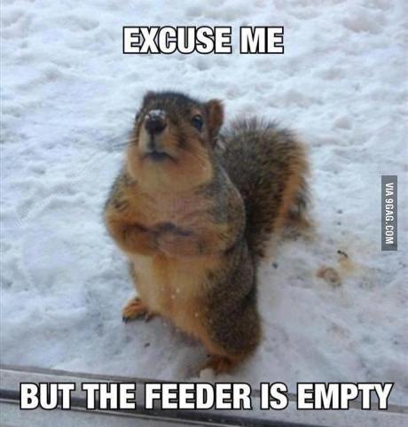 DailyFunFun's tweet image. 