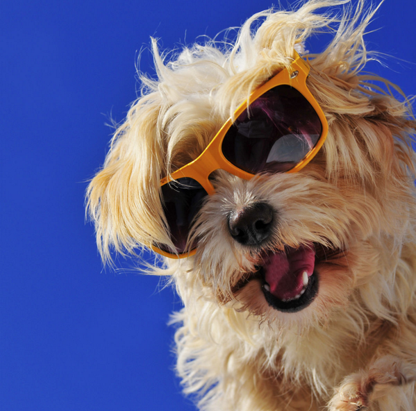 CenterforSight's tweet photo. Caption this: http://t.co/lAEcpfHjIg