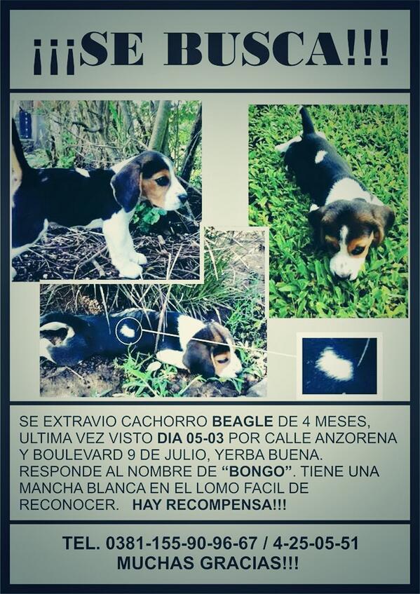 evarojc's tweet photo. Retwiteeeeen!! Gracias!!! http://t.co/VDurmikk0F
