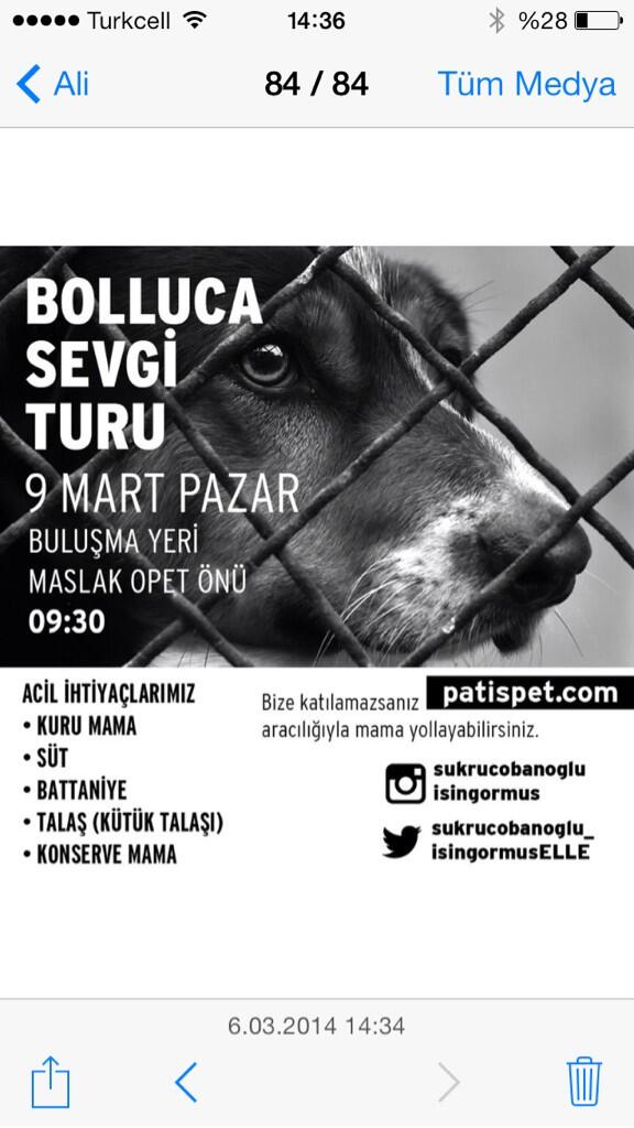 isingormusfelix's tweet photo. Bu Pazar tüm hayvansever tonton insan kişilerini Bolluca'ya bekliyoruz. Mamamız bitti. Acil mama yardımı lazım. http://t.co/ErpJJ19QpF