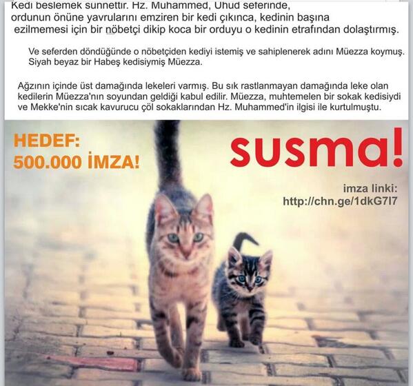dogusofficial's tweet photo. Hayvanlara sahip çıkmak #BiziİnsanYapar http://t.co/qWFJmOOfFr