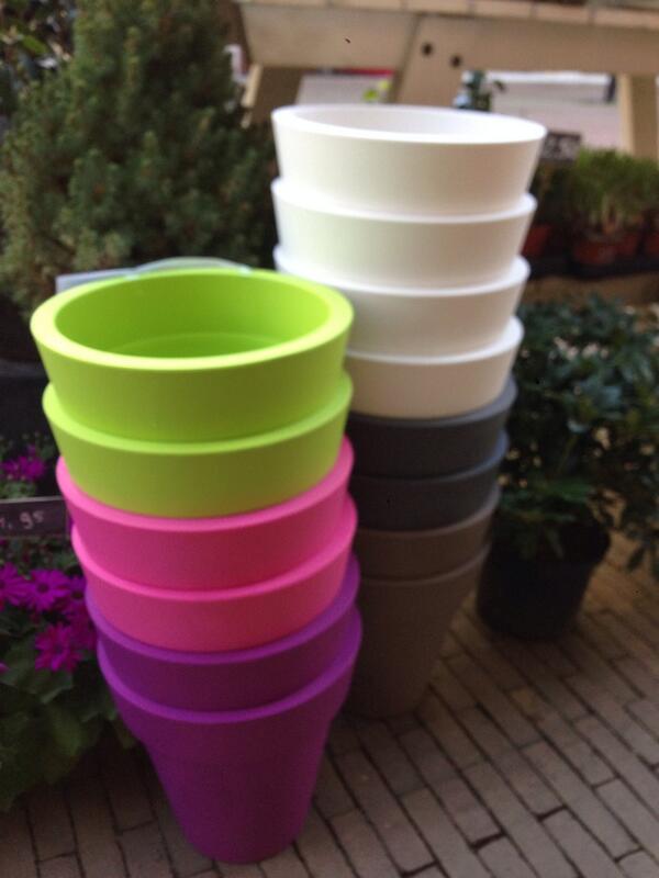 Vroege lente voordeel! Nu per stuk €18,95 en 2 stuks voor maar €35,00! Nu ook weer veel plantjes voor buiten #lente