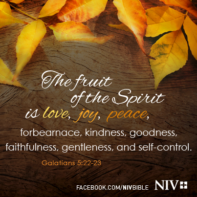 NIVBible tweet picture