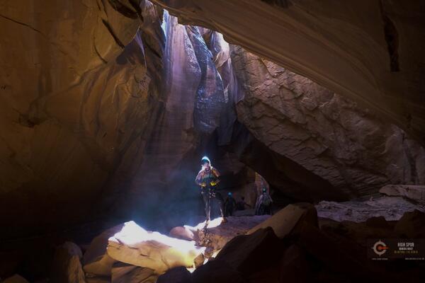 Canyon Collective tweet media