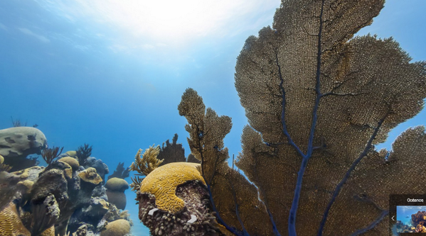 Google Business tweet media