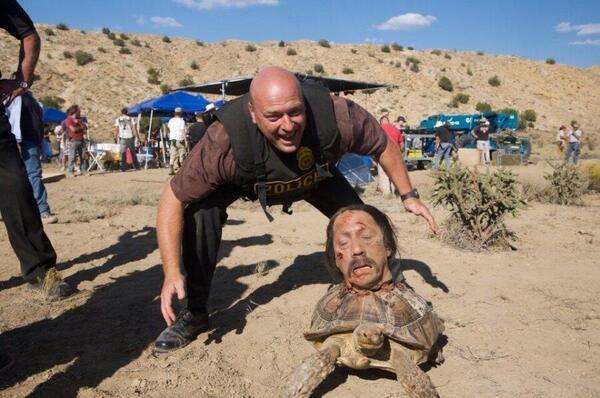 ThatsHistory's tweet image. Hank (Dean Norris) posing with Tortuga&apos;s head on a tortoise