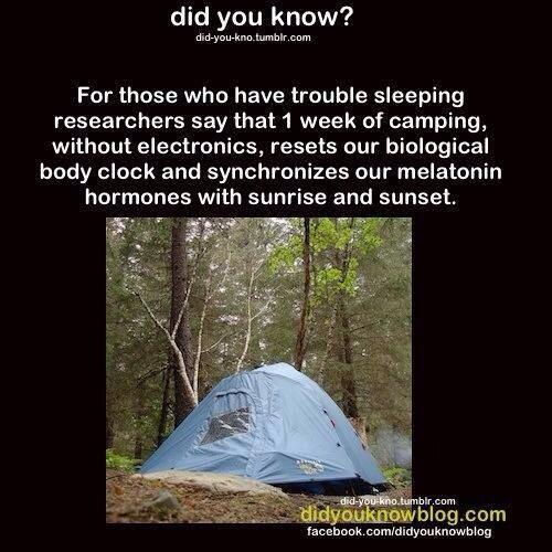 AlliFife's tweet photo. Hmmm! Did you know this? Okay, who's going camping with me? #liveyourbliss #destressing #harmony #outdoors http://t.co/bxyZGL9o7L