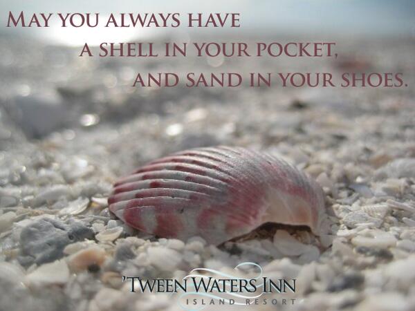 TweenWatersInn's tweet photo. LET'S SHELL-ABRATE! Don't miss out on the Shell Fair, today, tomorrow and Saturday from 9AM to 4PM here on Sanibel! http://t.co/5miSBAlK1c