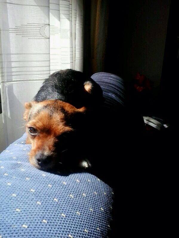 SoledadNL's tweet photo. Que ganas tengo ya de verla!!!😃😃 http://t.co/vu7IWDJBA6
