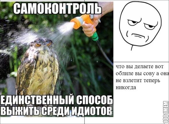 Единственный способ делать. Единственный способ выжить среди идиотов. Выдержка единственный способ выжить в мире идиотов. Спокойствие единственный способ выжить в мире идиотов. Притча о сове.