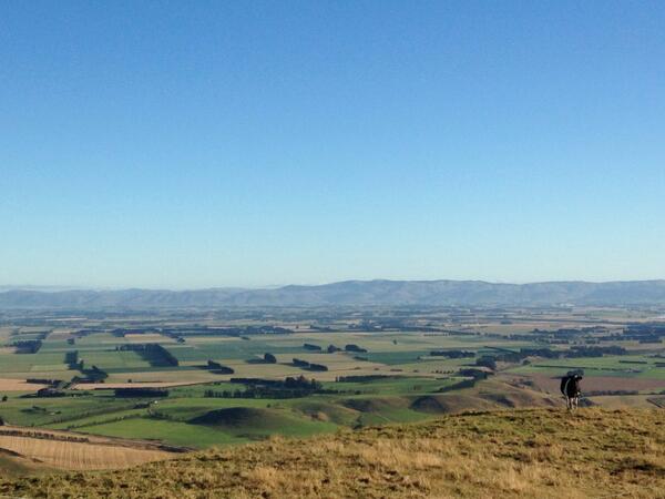tessageddes's tweet photo. Spot the cow that has the best view of Northern Southland http://t.co/xNgrkUX3td