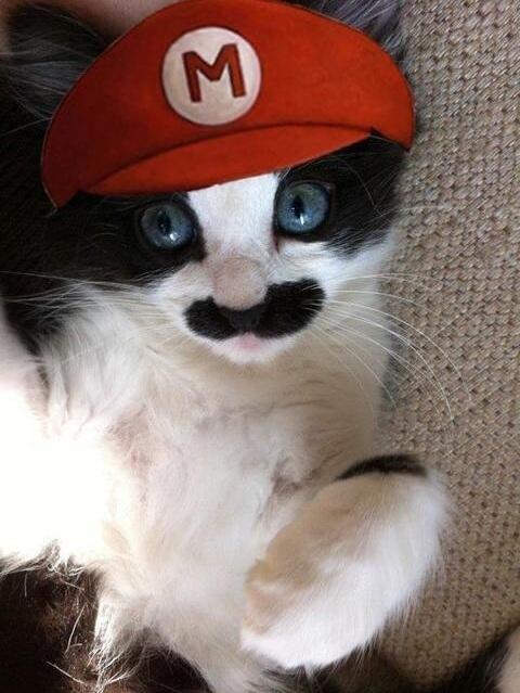 AnimaladaSs's tweet photo. Super Mario! jijiji http://t.co/1CYGB5ENQ8