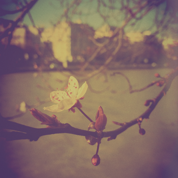 camera_fx's tweet photo. Just posted a photo (via @camera_fx) http://t.co/33QMhBjtss