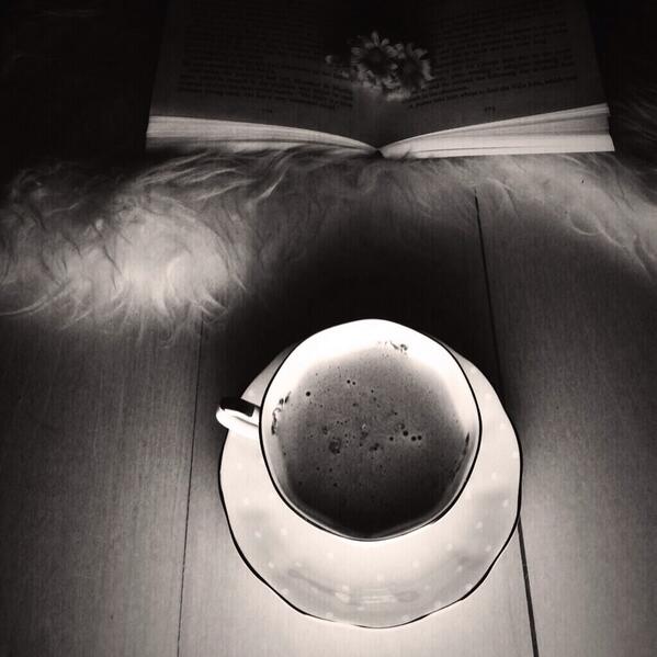 bwoa7's tweet photo. لا أحَدَ قَرأَ فنجاني..

إلاَّ وعرفَ أنَّكِ حبيبتي

لا أَحدَ درَسَ خُطُوطَ يدي

إلا واكتشفَ حروفَ اسْمِكِ الأربعهْ http://t.co/CjevRxJ2Ac