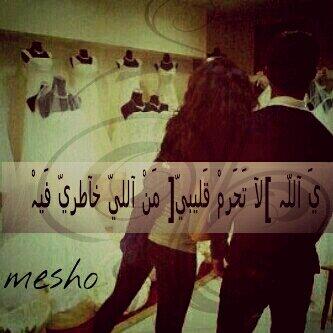 meshol331 tweet picture