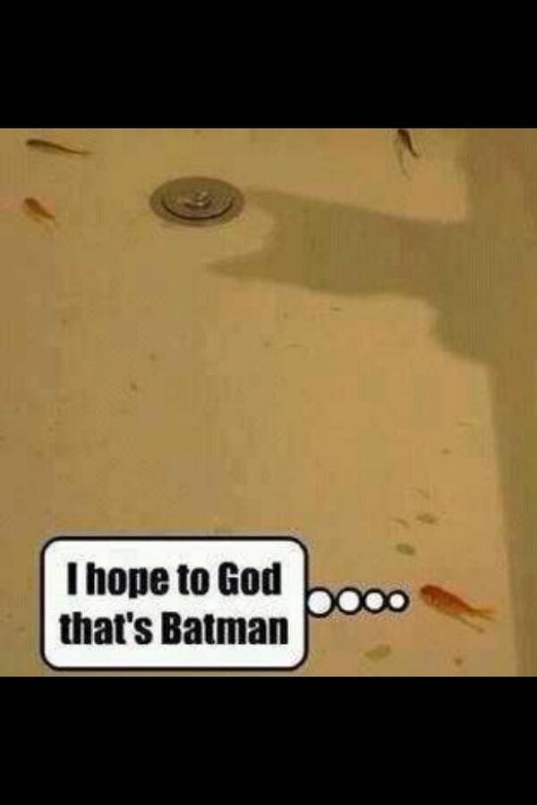 oliviavivian's tweet photo. @travaldinho #BatmanComedy http://t.co/OoMaYbU8TJ