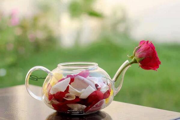 _xt0i's tweet photo. çok güzel http://t.co/bJLawPOfLv